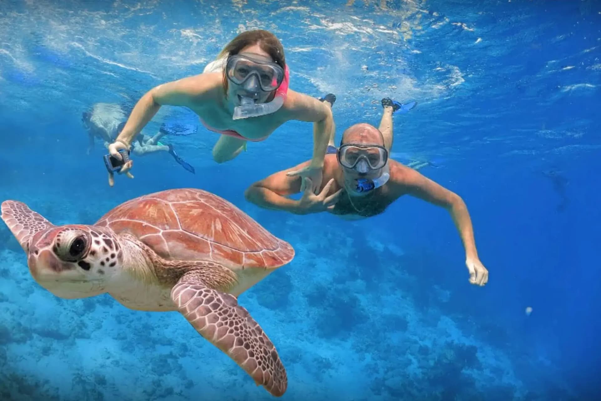 Abu Dabbab from Hurghada: Swim with Sea Turtles & Dugongs tour – thumbnail 2