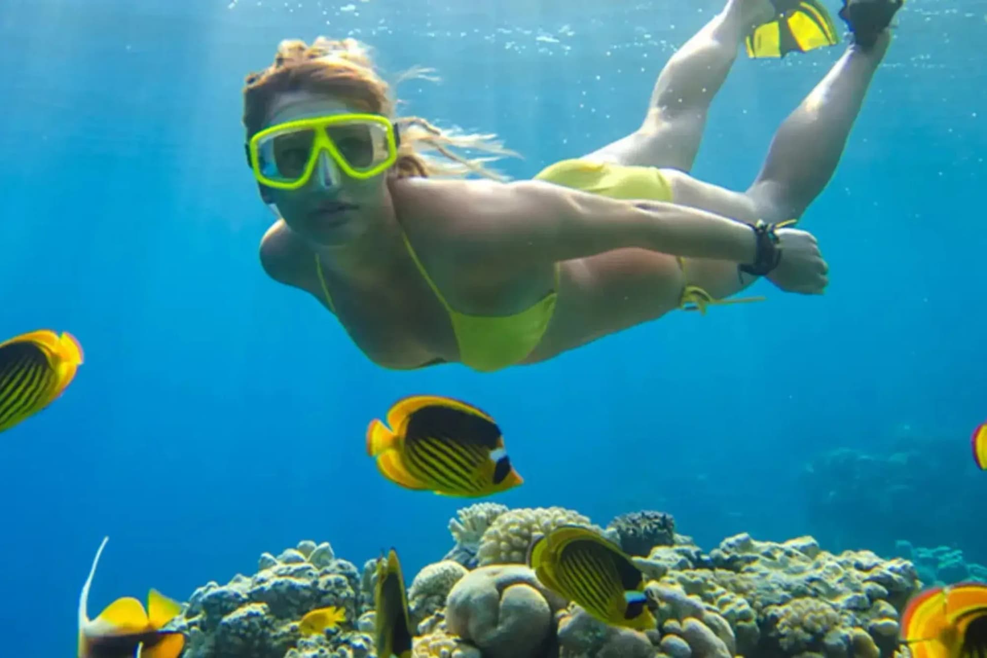 Red Sea Diving Guide: Best Spots, Seasons & Tips 2026