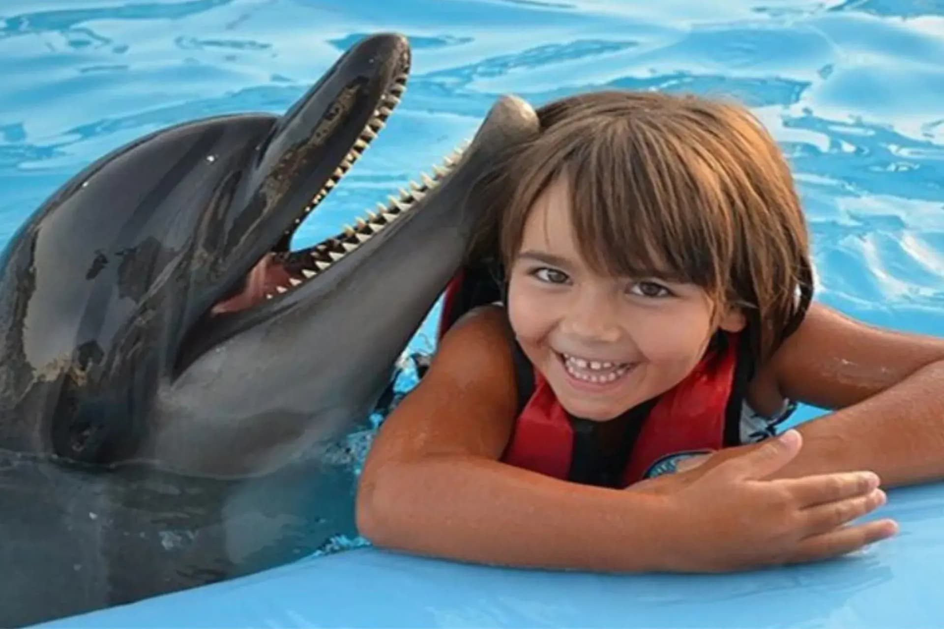 Dolphin Swim 10 Minutes & Show in Hurghada | Extended Swim Experience tour – thumbnail 3