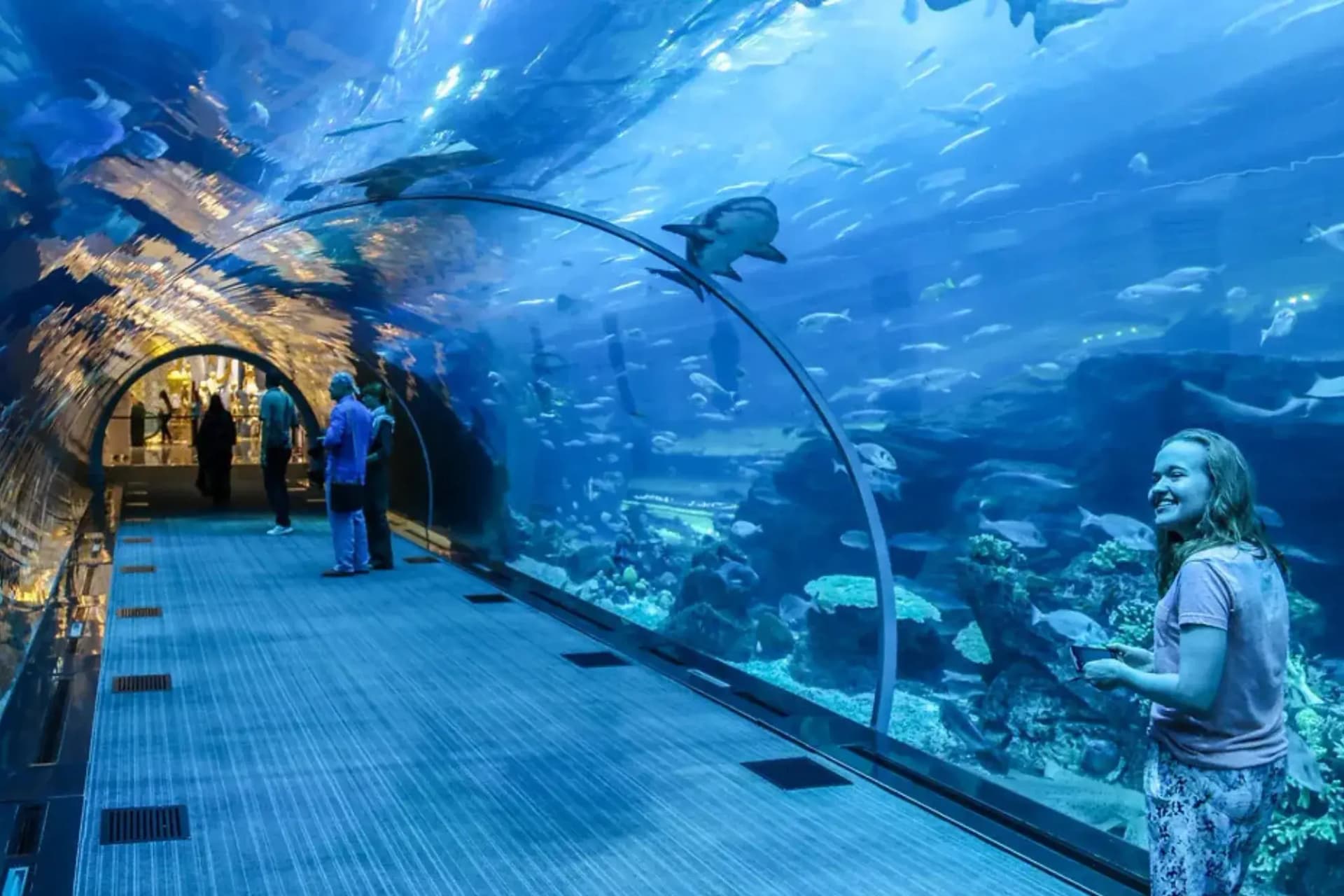 Grand Aquarium Tour