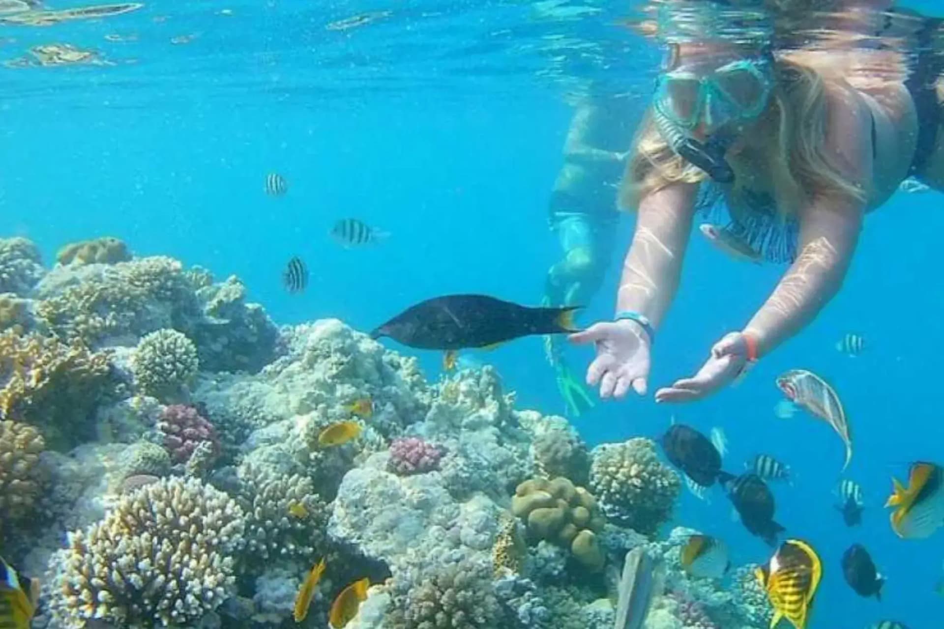 Orange Bay Island Snorkeling – Full-Day Red Sea Paradise Adventure tour – thumbnail 4