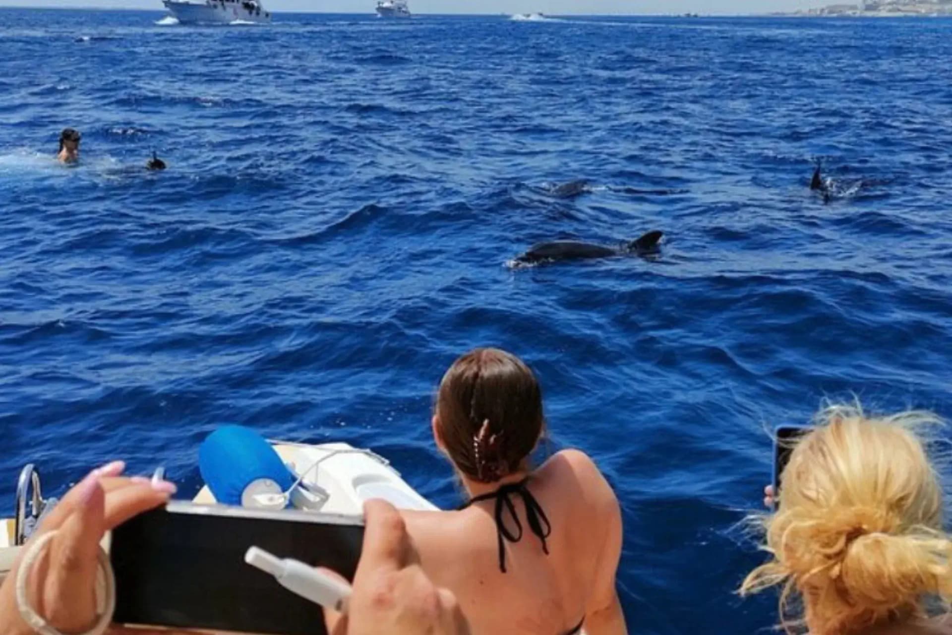 Private Speedboat Tours in Hurghada | Dolphin Watching, Snorkeling & Island Hopping tour – thumbnail 2