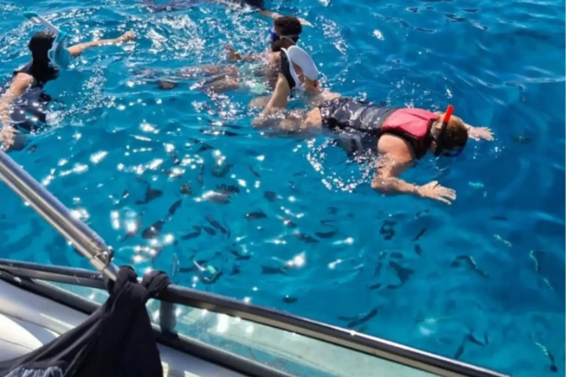 Private Speedboat Tours in Hurghada | Dolphin Watching, Snorkeling & Island Hopping tour – thumbnail 4