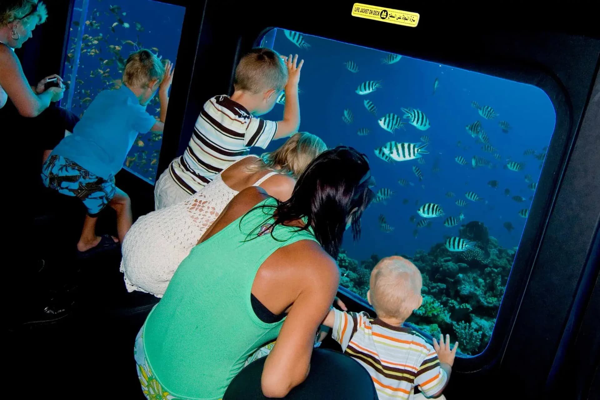 Sea Scope Glasbodenboot Tour in Hurghada | Unterwasser Meeresleben Beobachtungserlebnis Tour – Vorschaubild 2